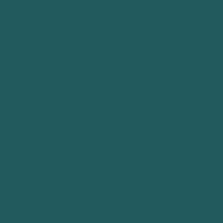 Benjamin Moore Oasis Blue (2049-20)