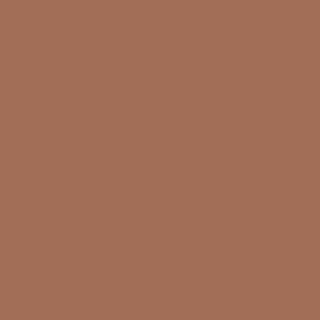Benjamin Moore Toasted Pecan (1209)