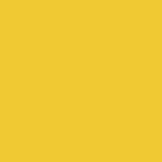 Benjamin Moore Sunrays (343)