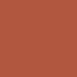Benjamin Moore Fiery Opal (077)