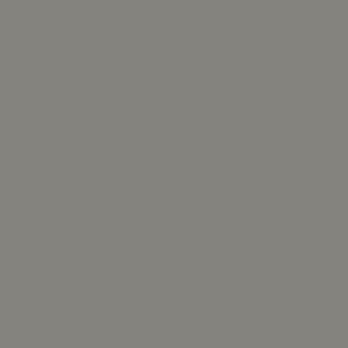 Benjamin Moore Dolphin (AF-715)