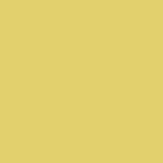 Benjamin Moore Yellow Tone (370)