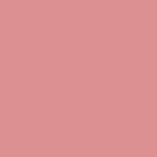 Benjamin Moore Pink Buff (1285)