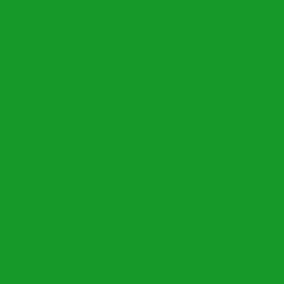 Benjamin Moore Neon Green (2032-10)