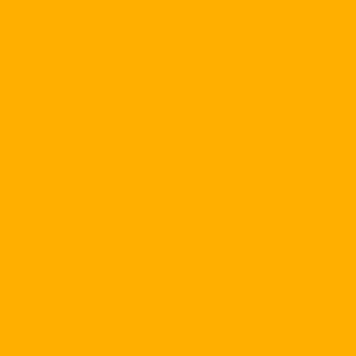 Benjamin Moore Mardi Gras Gold (2019-10)