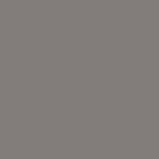 Benjamin Moore Granite (AF-660)