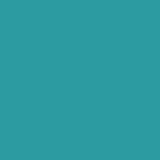 Benjamin Moore San Jose Blue (741)