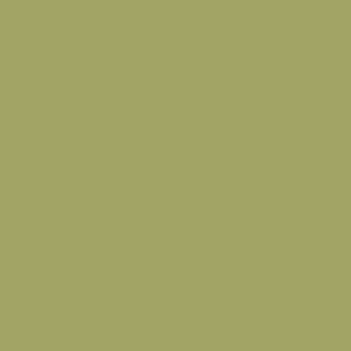 Benjamin Moore Medieval Times (530)