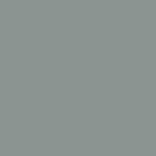 Benjamin Moore Stonybrook (1566)