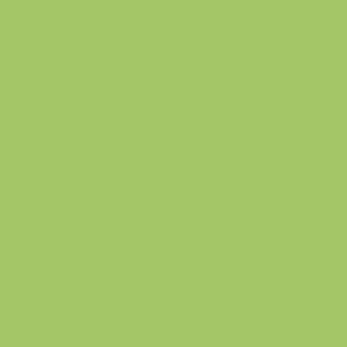 Benjamin Moore Springhill Green (412)
