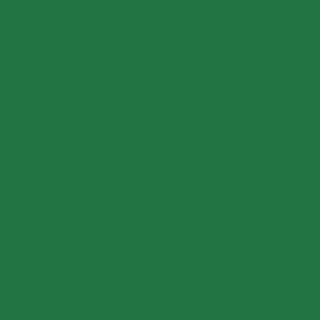 Benjamin Moore Cactus Green (2035-20)