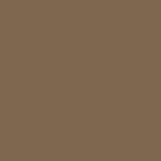 Benjamin Moore Sedona Brown (1127)