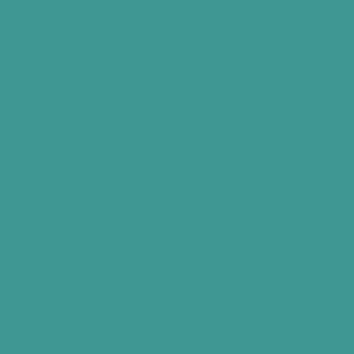Benjamin Moore Soft Spruce (671)