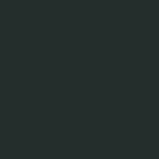 Benjamin Moore Black Forest Green (PM-12)