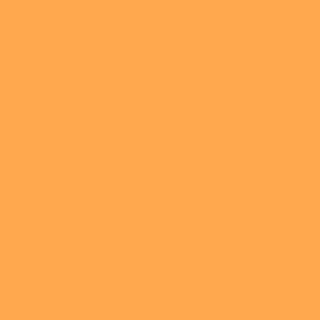 Benjamin Moore Mango Punch (154)