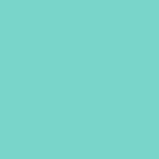 Benjamin Moore Coastal Paradise (655)
