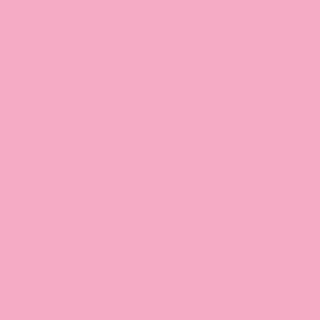 Benjamin Moore Blushing Bride (2086-50)