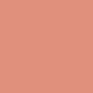 Benjamin Moore Coral Rock (032)