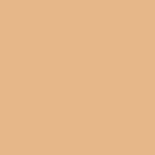 Benjamin Moore Persian Melon (117)