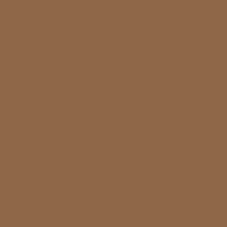 Benjamin Moore Glenwood Brown (1141)