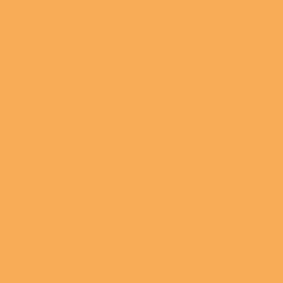 Benjamin Moore Golden Archway (146)