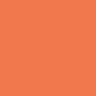 Benjamin Moore Fiesta Orange (084)