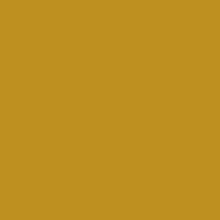 Benjamin Moore Goldsmith (CSP-960)