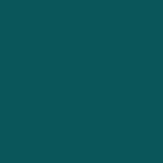 Benjamin Moore Beau Green (2054-20)