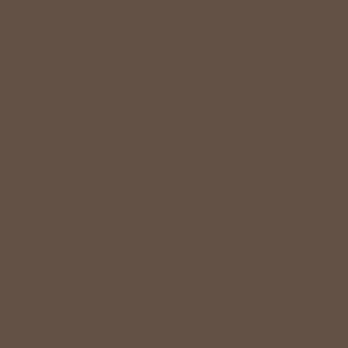 Benjamin Moore Falcon Brown (1238)