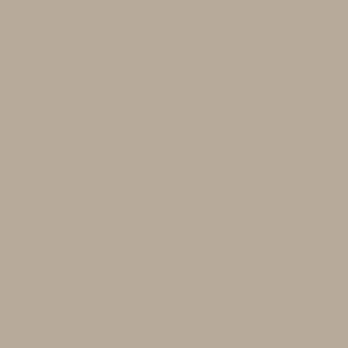 Benjamin Moore Rocky Road (CC-470)