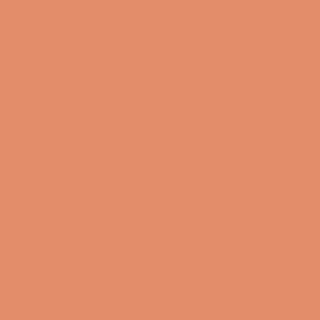 Benjamin Moore Flamingo Orange (075)