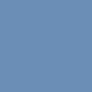 Benjamin Moore Blue Dragon (810)