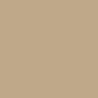Benjamin Moore Brookline Beige (HC-47)