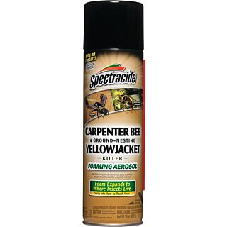 Spectracide Killer Foam, 16 oz