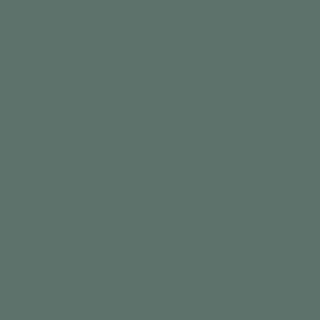 Benjamin Moore Jack Pine (CC-660)