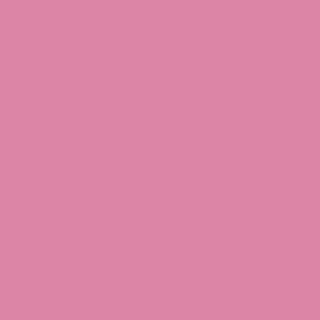 Benjamin Moore Paradise Pink (2078-40)