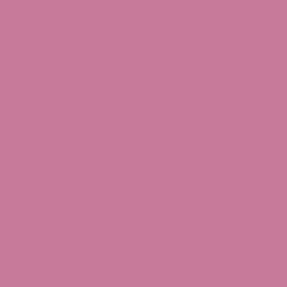 Benjamin Moore Tropical Rose (1355)