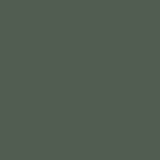 Benjamin Moore Dakota Shadow (448)