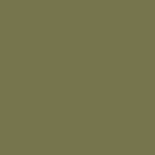 Benjamin Moore Shady Lane (497)