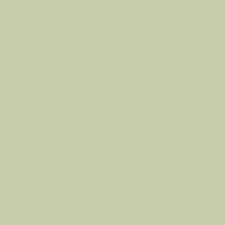 Benjamin Moore Spring Meadow (486)