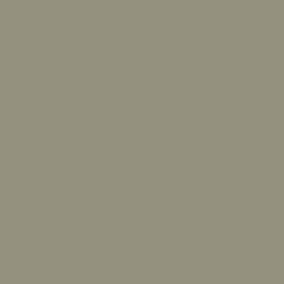 Benjamin Moore Sage Mountain (1488)