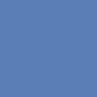 Benjamin Moore Watertown (818)