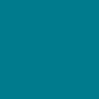 Benjamin Moore Caribbean Blue Water (2055-30)