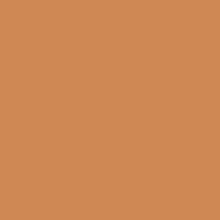 Benjamin Moore Cornucopia Tan (119)
