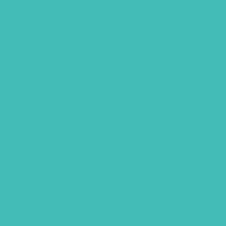 Benjamin Moore Teal Tone (663)