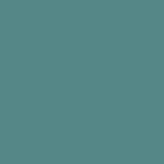 Benjamin Moore Mayo Teal (CW-570)