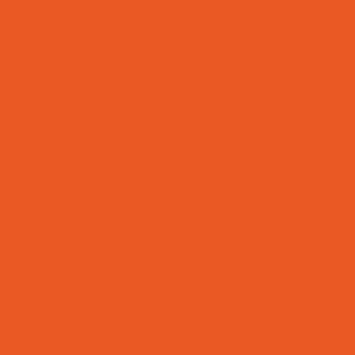 Benjamin Moore Festive Orange (2014-10)