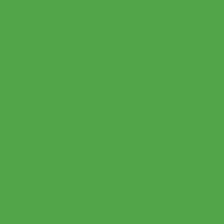 Benjamin Moore Sullivan Green (560)