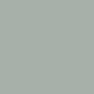 Benjamin Moore Pearl (CW-640)