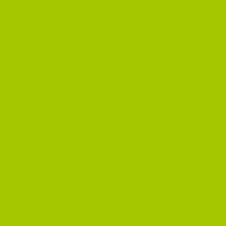 Benjamin Moore Margarita (2026-20)
